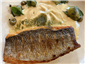 sea bass